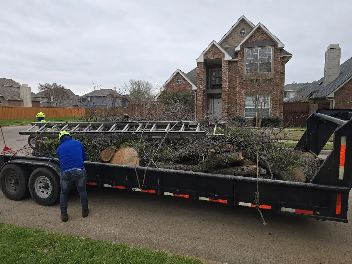 Expert Lot Clearing with proper safety equipment in Harmony